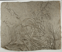 F 01451
<br/>
<br/>
<em></em>